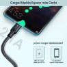 Cable usb Tipo C 2.1A (2 METROS)